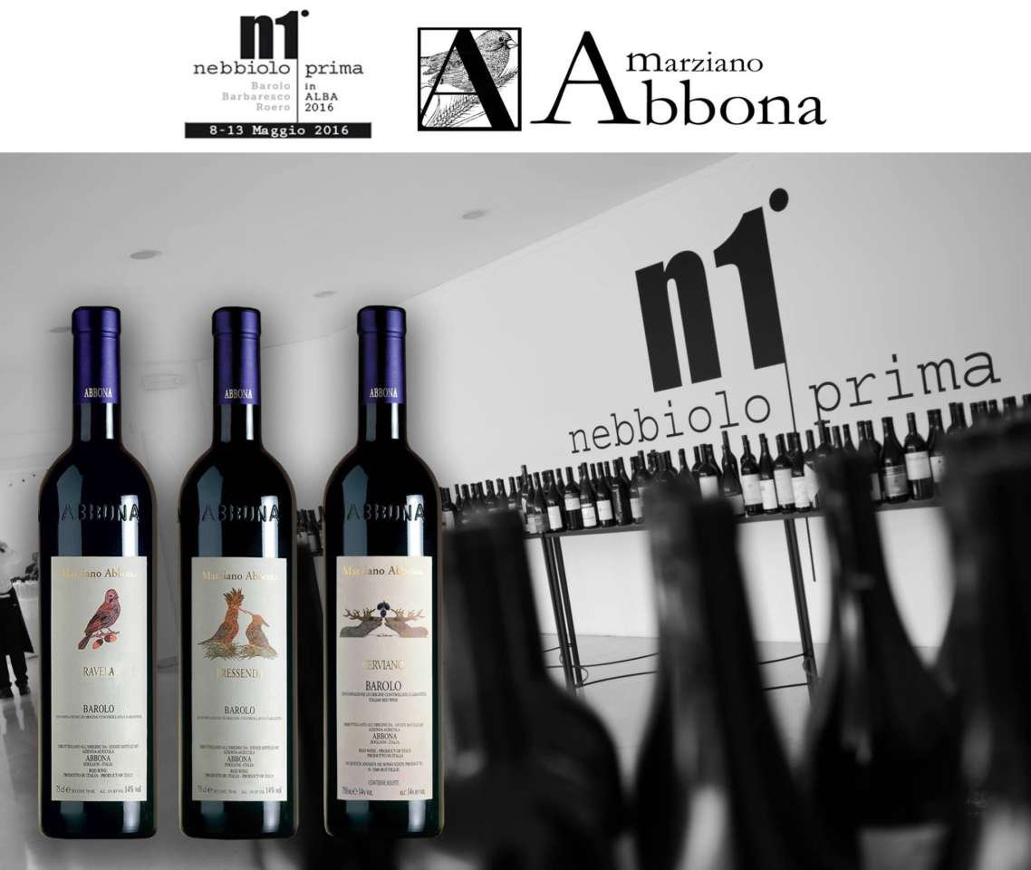 nebbioloprima16
